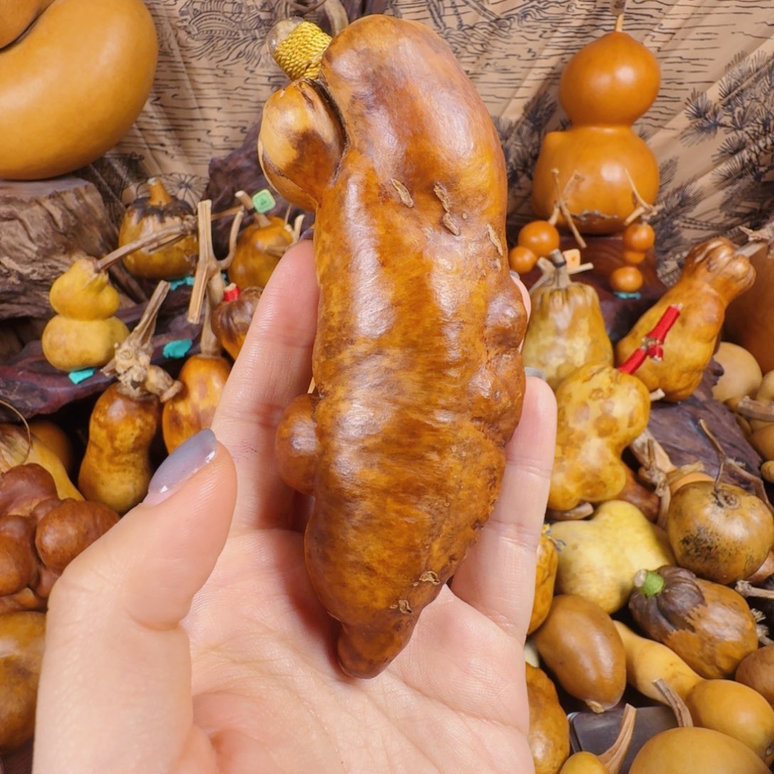 大***➢兔兔图图兔兔图兔兔我啦啦啦