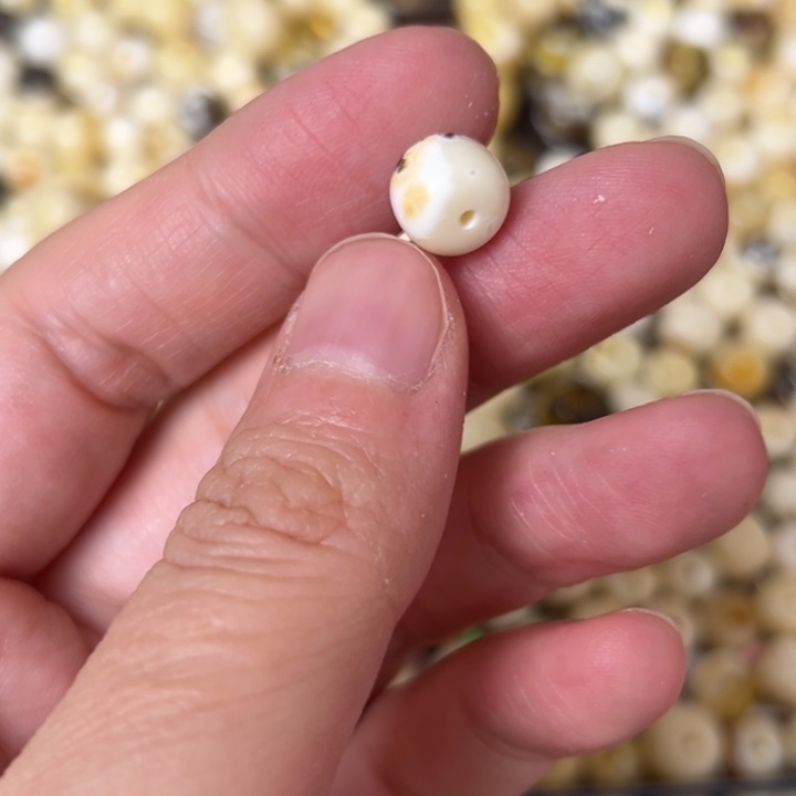 蜜蜡未镶嵌裸石9.1mm一个