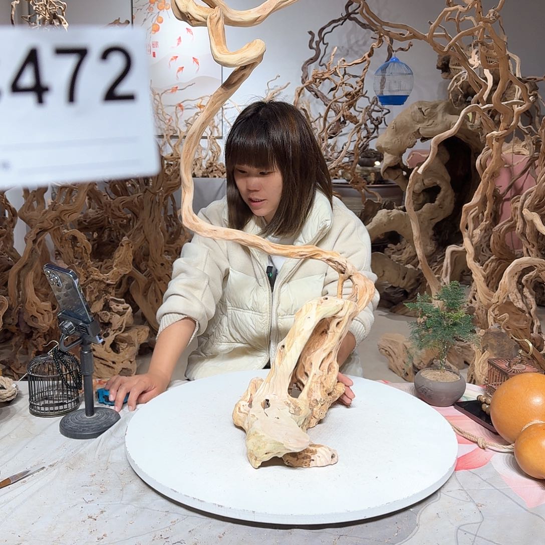 风车木（黑檀木）哈*