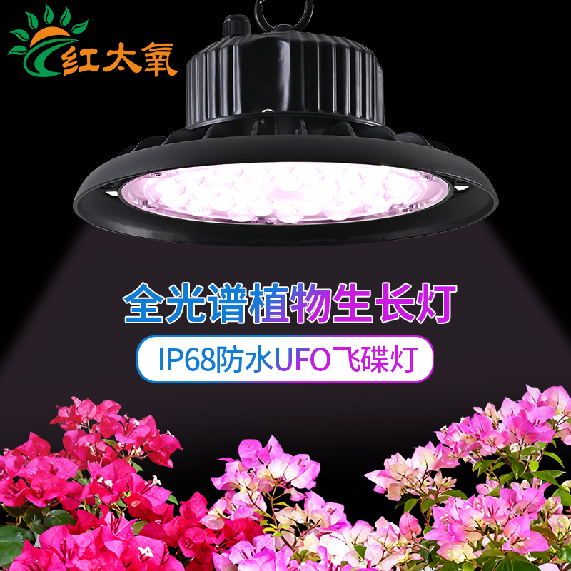 【少年专属】多肉补光灯球泡透镜家用室内绿植法师全光谱植物生长灯