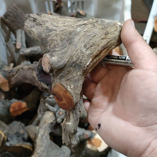 南***翁大果紫檀（缅甸花梨）