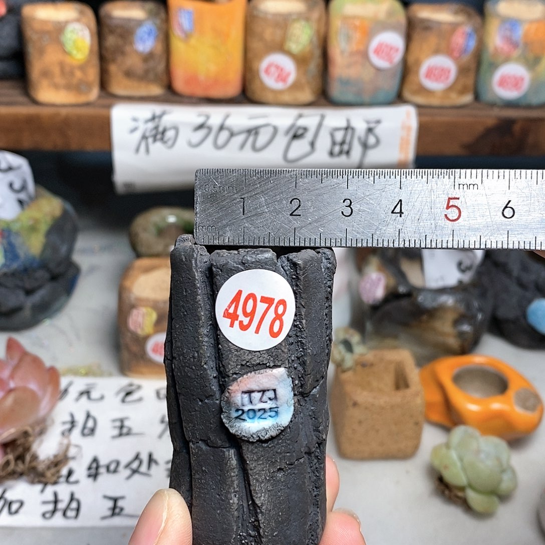 红陶拍5送一个小