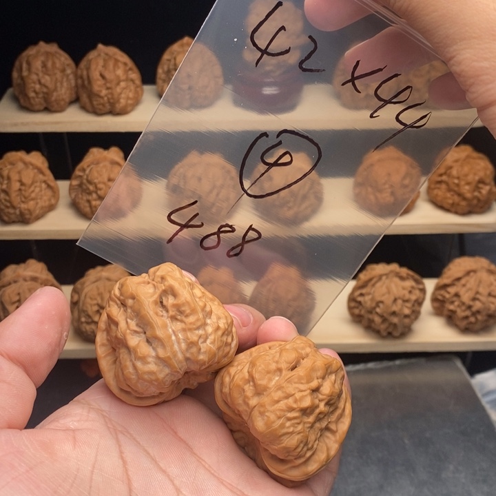 核桃蛤蟆头4号42蛙大克