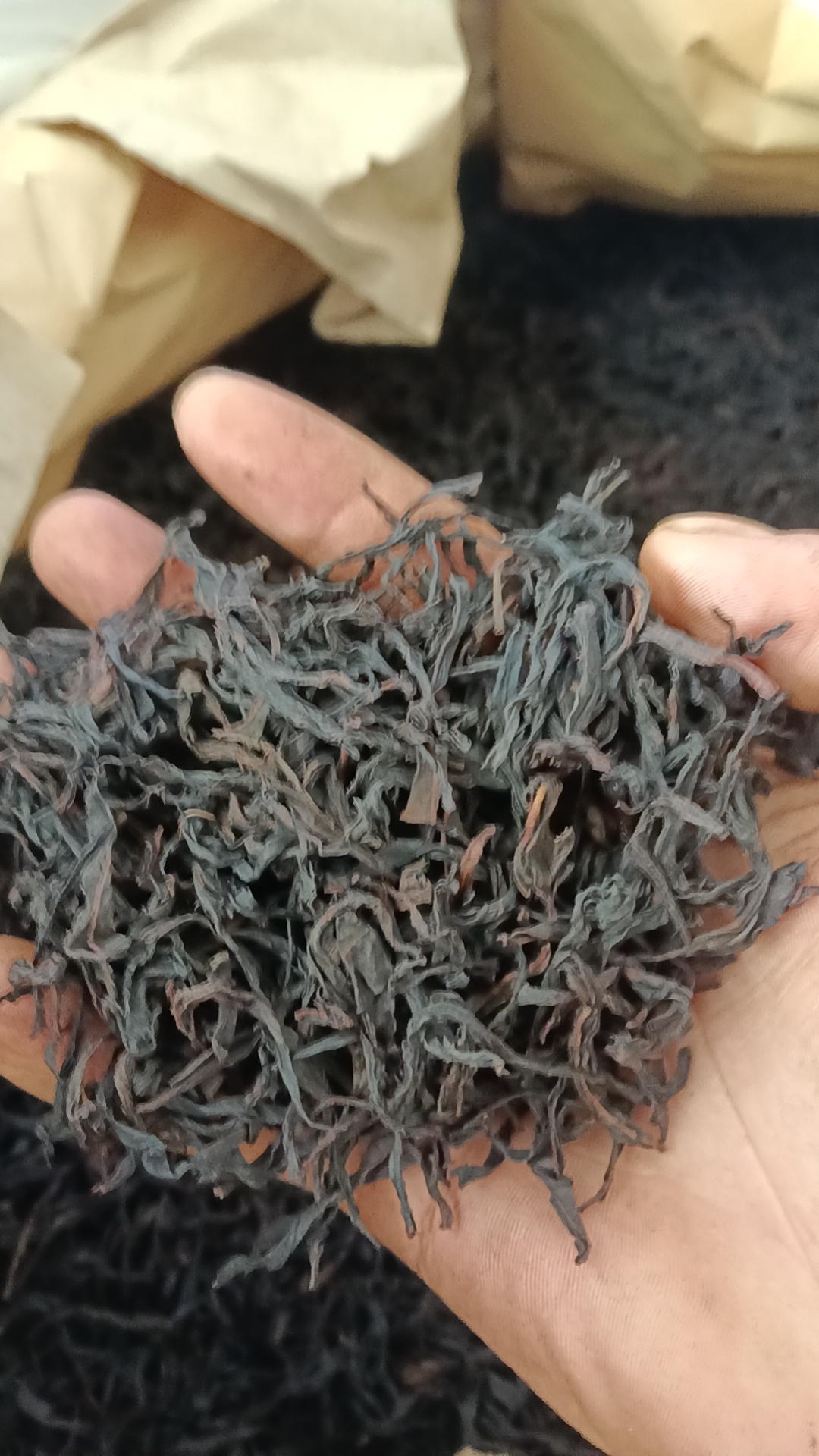 高山老枞蜜兰香，浓香型，蜜兰香，密味好