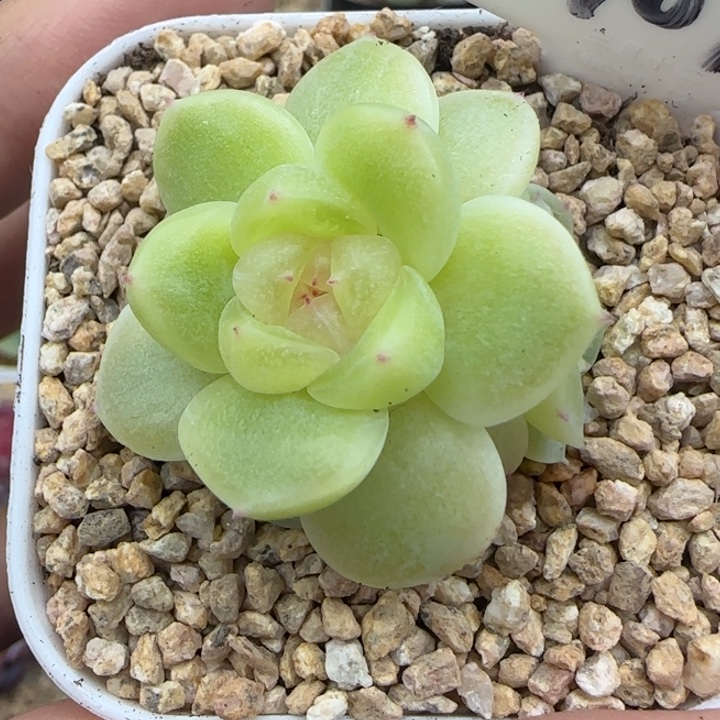 107号财富密码暮暮晗雨