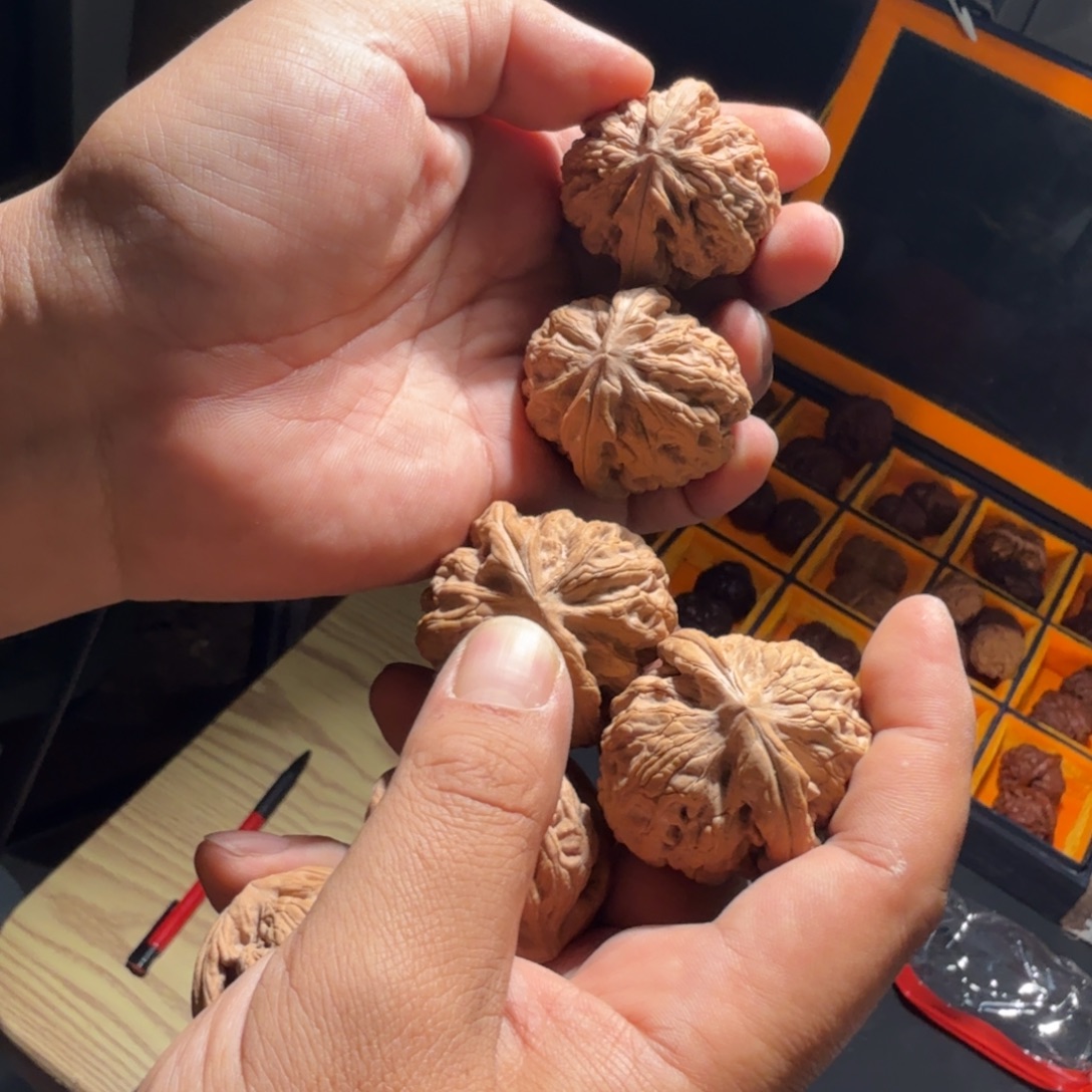 把件文玩核桃1031号红锦鲤40mm以下