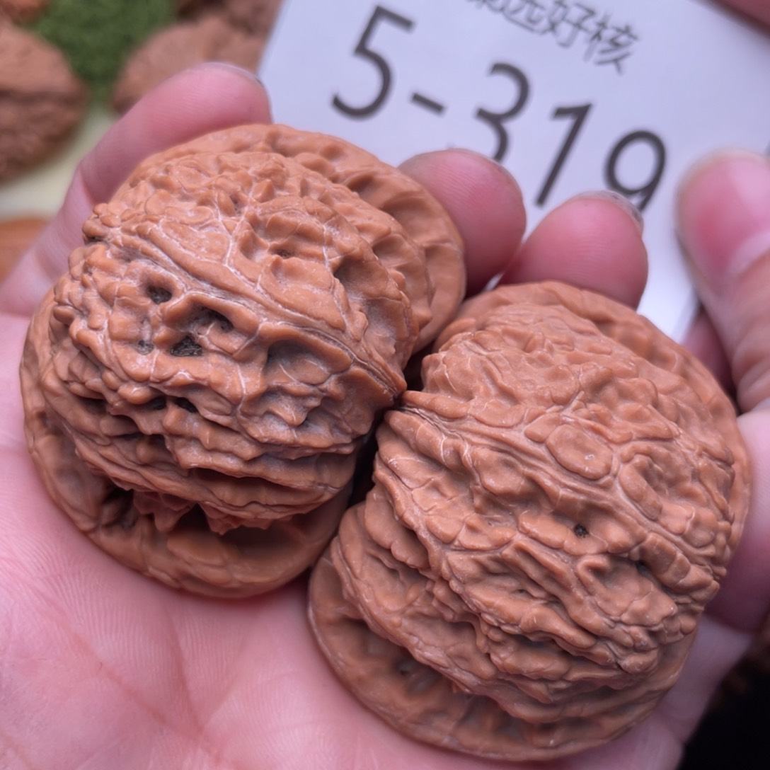 文玩核桃把件精配毕业白狮子46