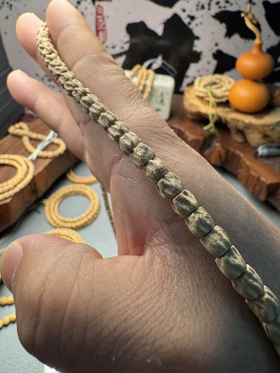 柏香籽      粉皮多楞顺