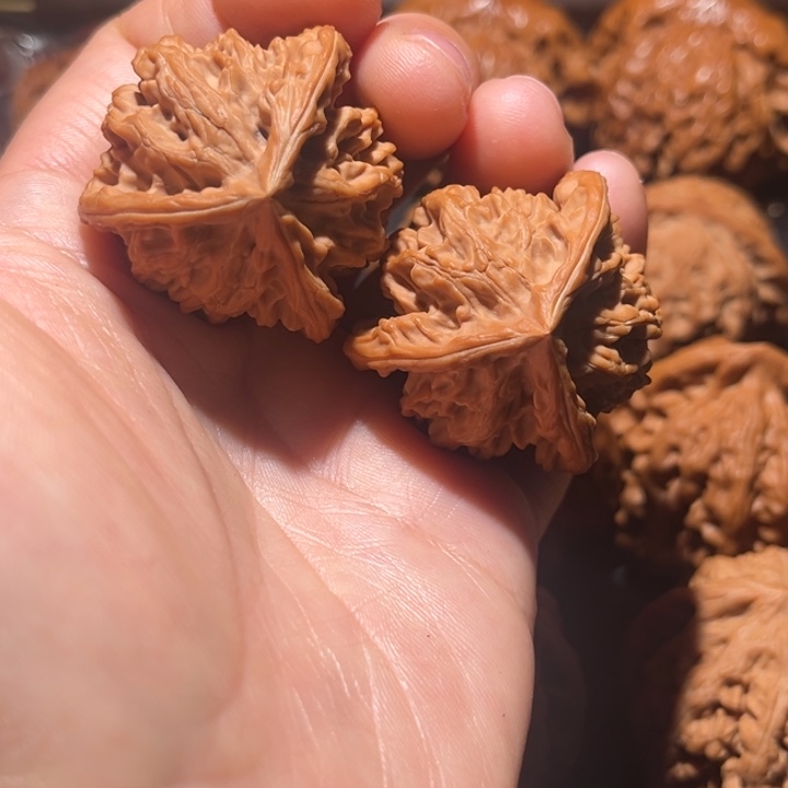 吊坠龙脊菩提三棱