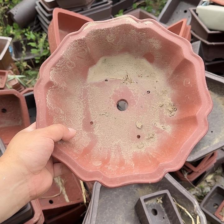 不说你还以为我们俩