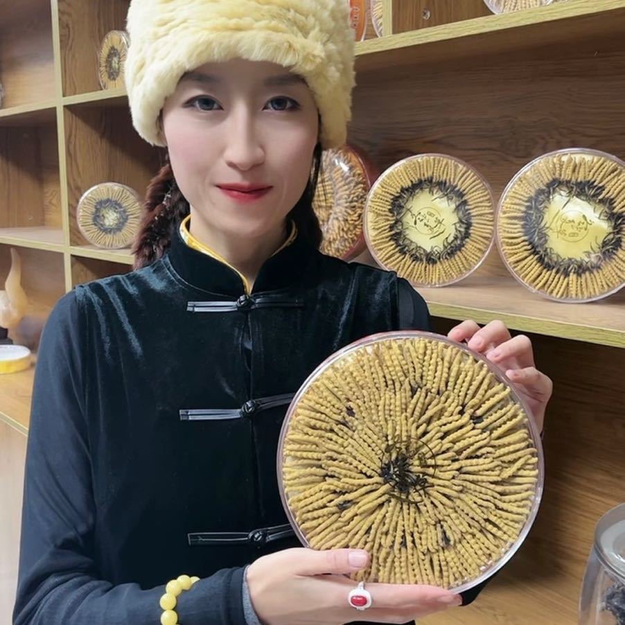 （ZZ）雪山草王2025年头期高品质干冬虫夏草