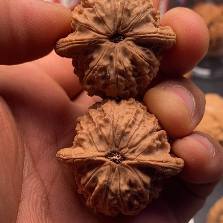 橙****文玩核桃把件血麒麟37