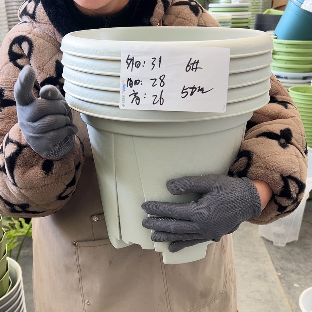 青山盆6#米白色5个无托