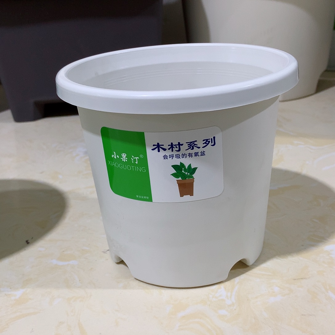 树脂四季口15白10个无托