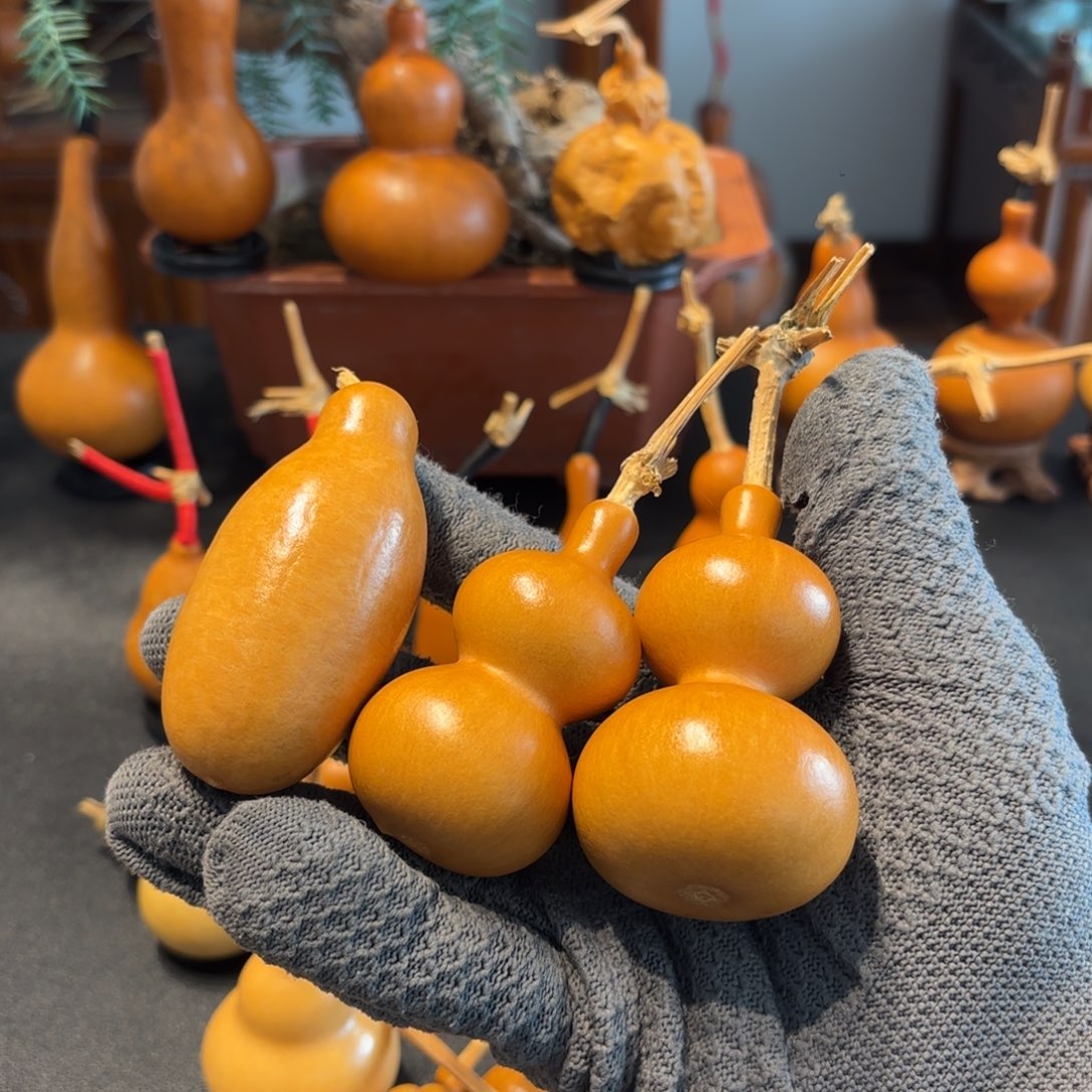 进***浪葫芦88888888888888