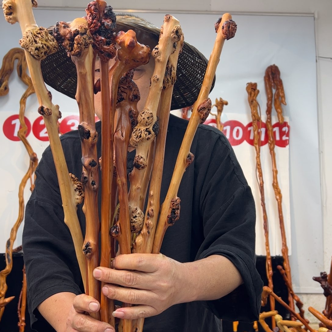 其他黑果木黑果木808