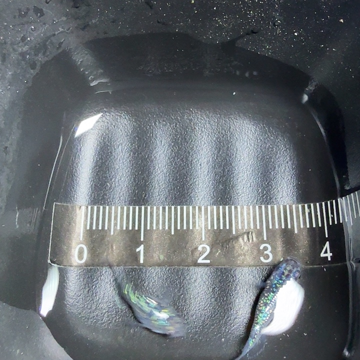 海水1号拍品蓝宝石球体