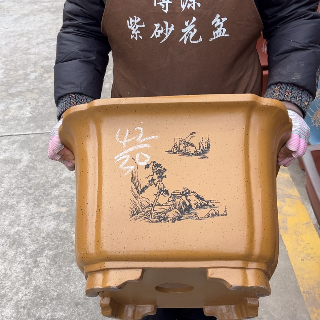 花盆紫砂盆景艺术