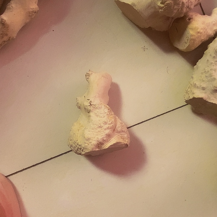 新***元黄杨木等多种木材