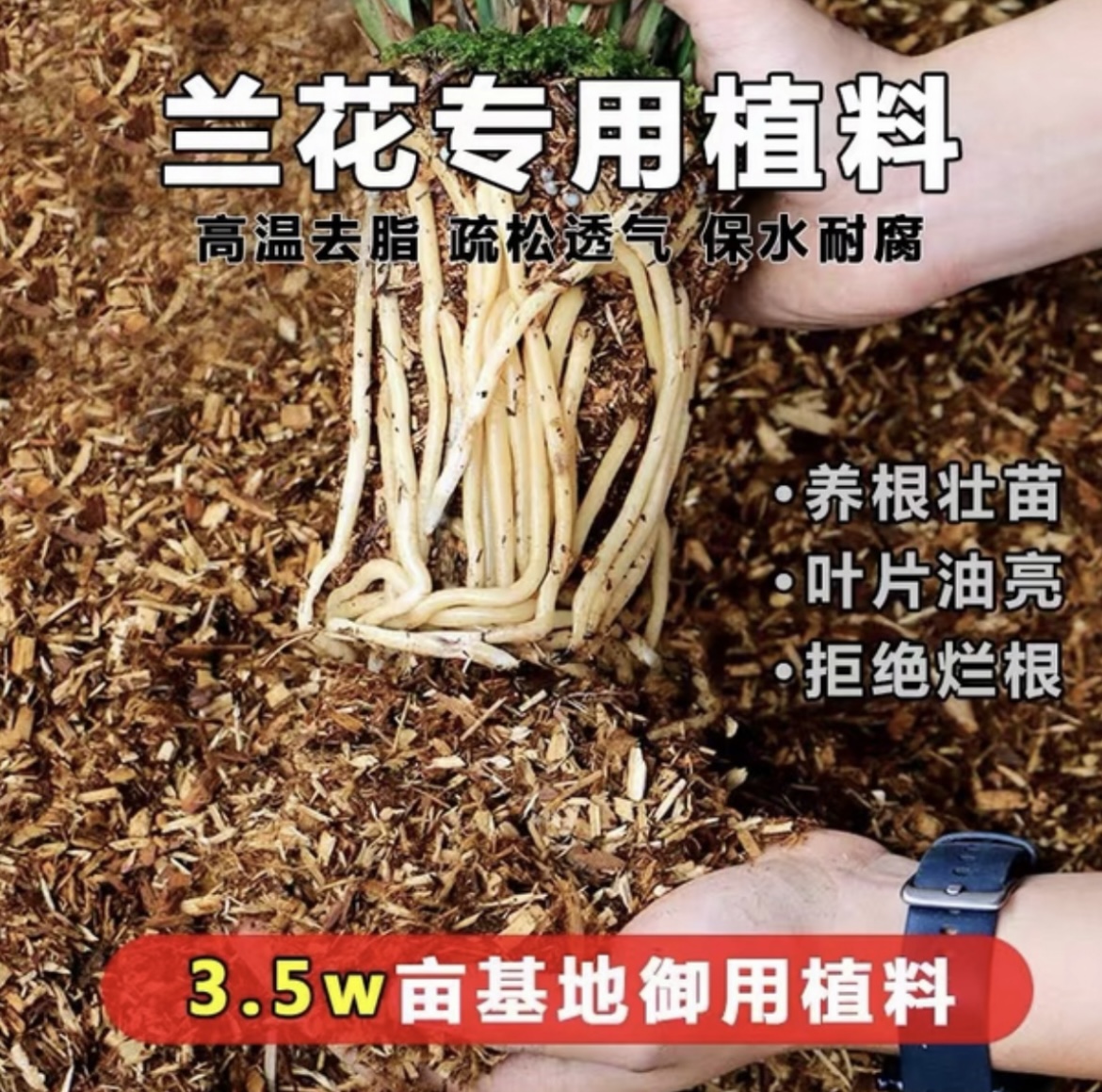 杉木屑兰花专用植料疏松透气促进生根通用型家用兰花土