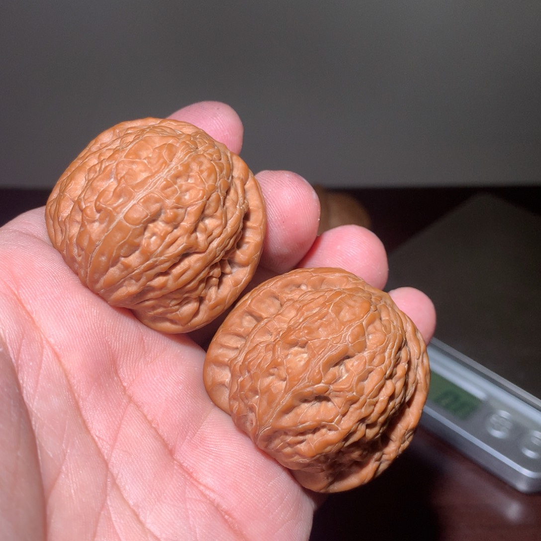 文玩核桃把件铁锤40克重444