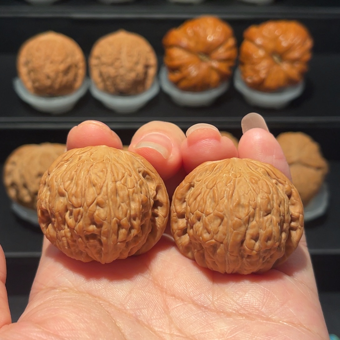 全品，精品，36泥鳅背088