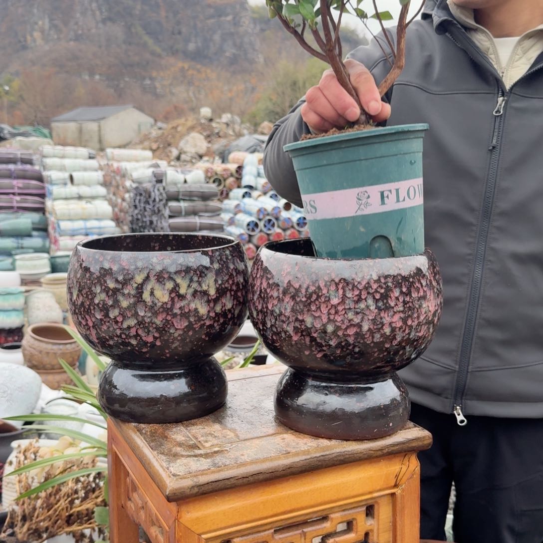 紫砂花盆口18高19（两个紫球