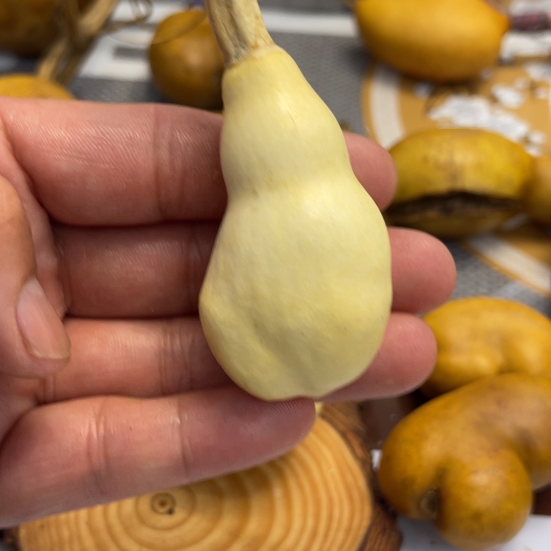 邹***吉葫芦葫哈哈哈哈哈哈哈哈