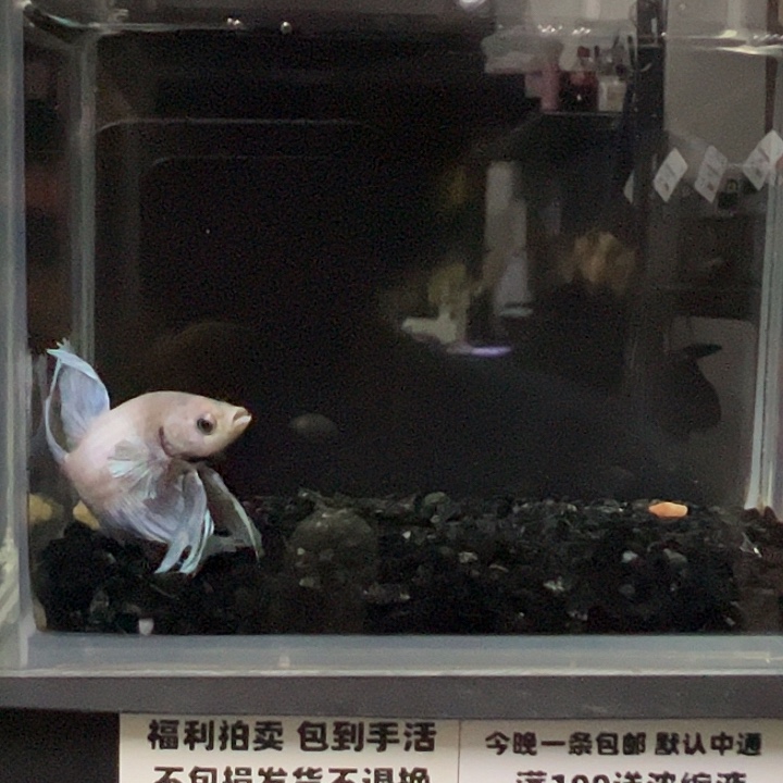 斗鱼跑单拉黑17日29