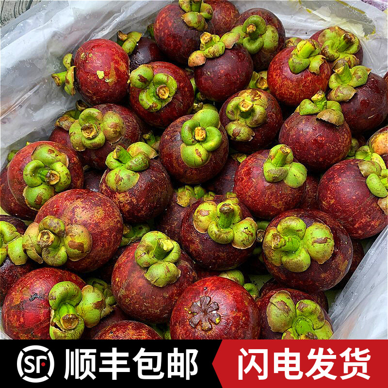 进口山竹新鲜级大果当季热带水果时令孕妇水果 顺丰包邮