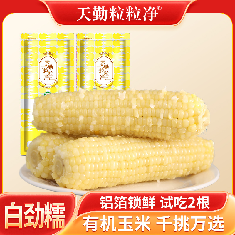 天勤粒粒净260-300g*9支新品白劲糯玉米ZS【有机】新鲜软糯甜糯