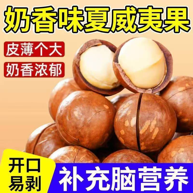 【送开口器】夏威夷果奶香味大颗粒饱满酥脆坚果休闲零食赠送开口器