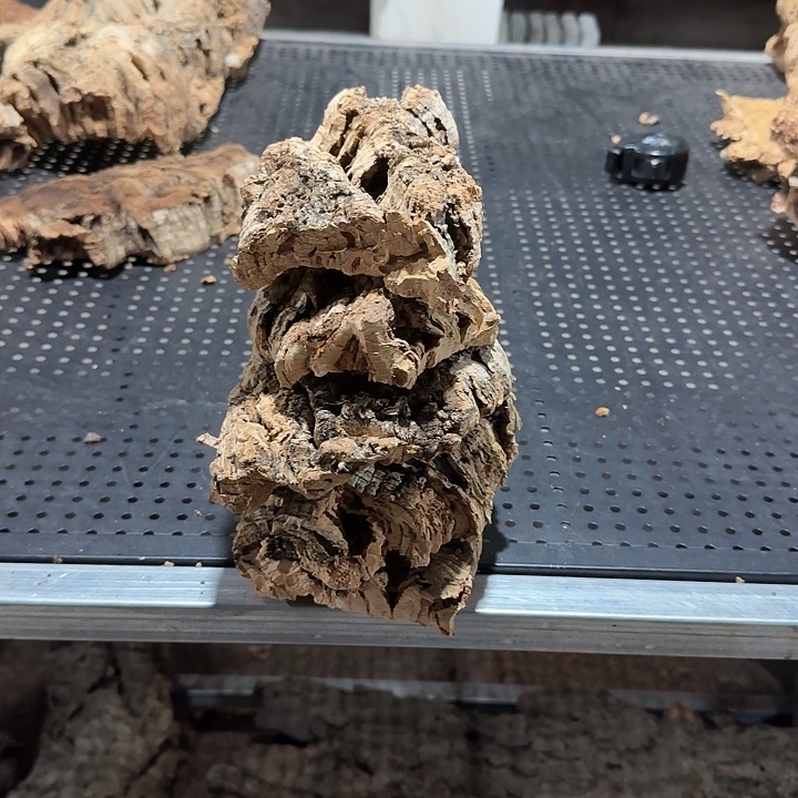 歪***歪无花朵一物一拍一物一发