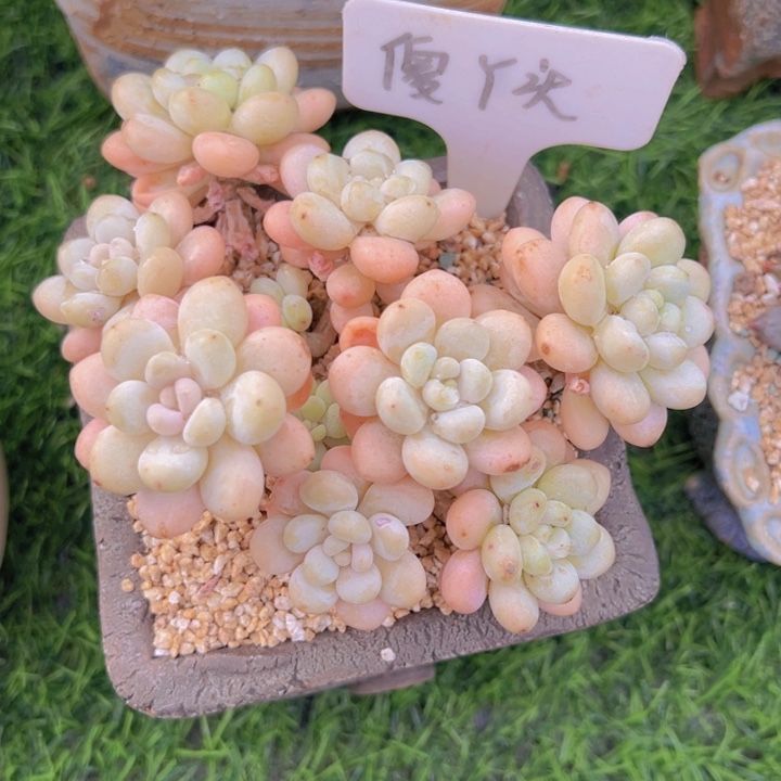 健健康康平平安安