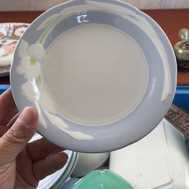 碟开播了开播了开播了