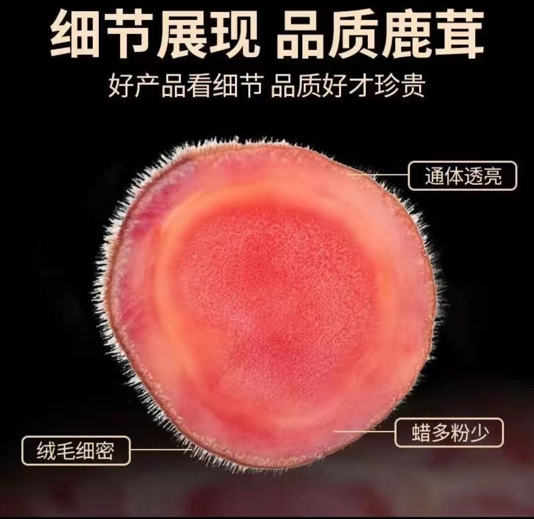 鲜鹿茸段直播间实物为准