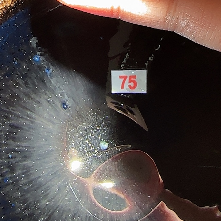 茶盏我是个没有底线没有原则和感情