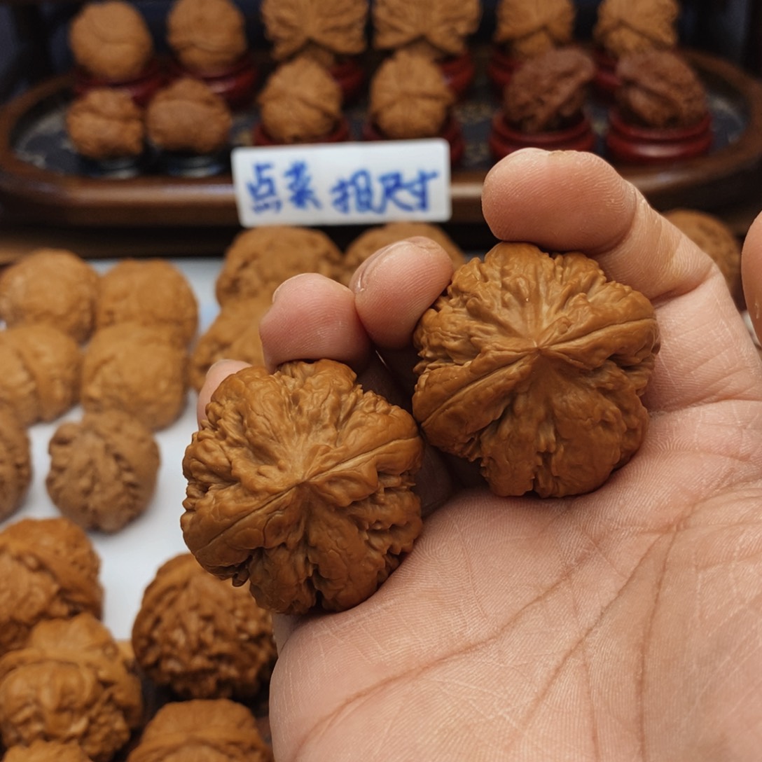 文玩核桃把件39尺 全品霸王龙5