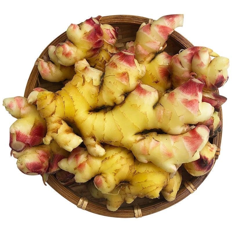 贵州现挖现装新鲜小黄姜嫩姜生姜产地直销辛辣十足泡姜(小块姜）