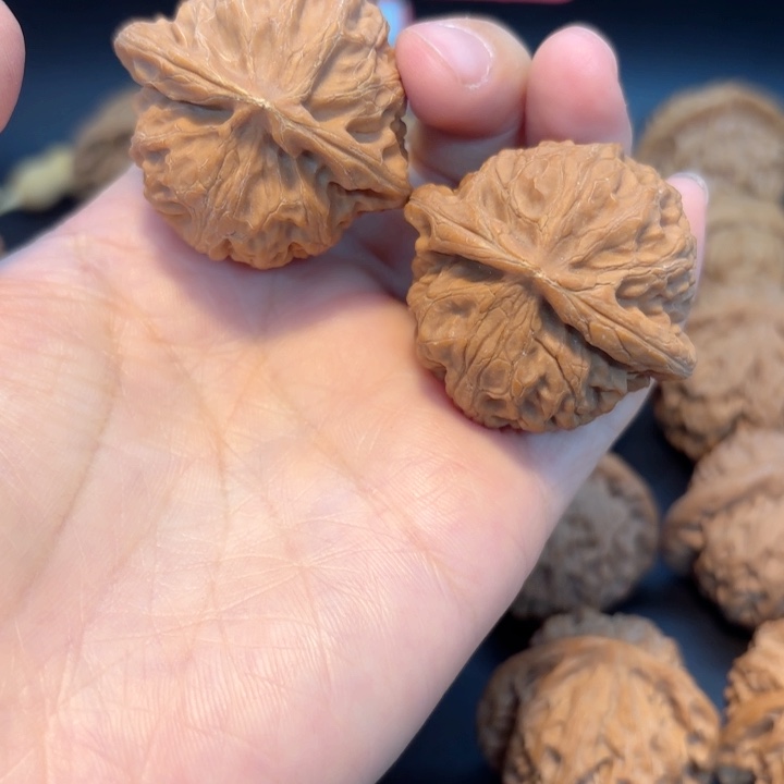 41宫灯全品无修全品无修全品