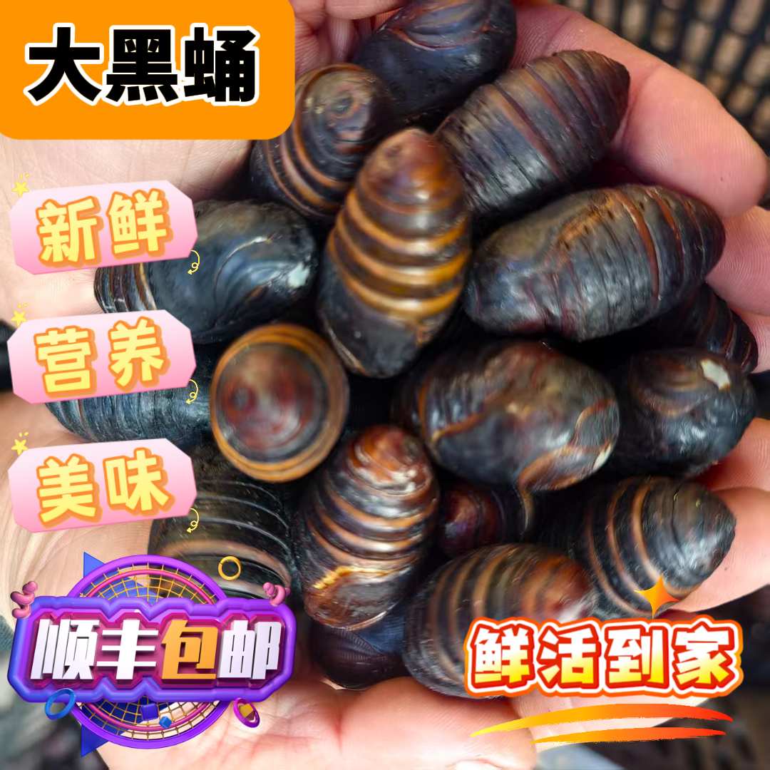 八零兄弟东北西丰新鲜柞蚕活茧蛹产地直发大黑蛹