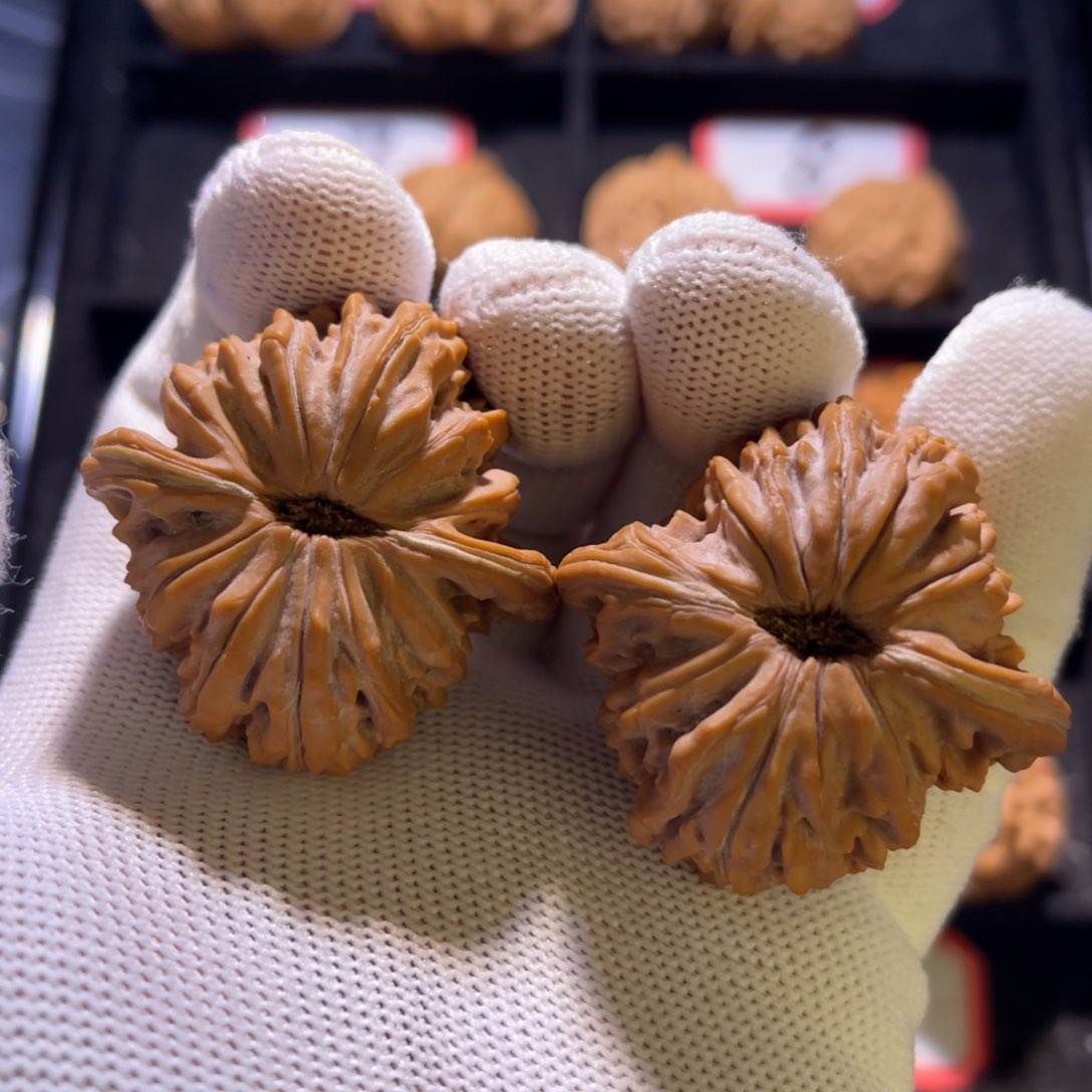 Y***秦皇岛山地果全品—60