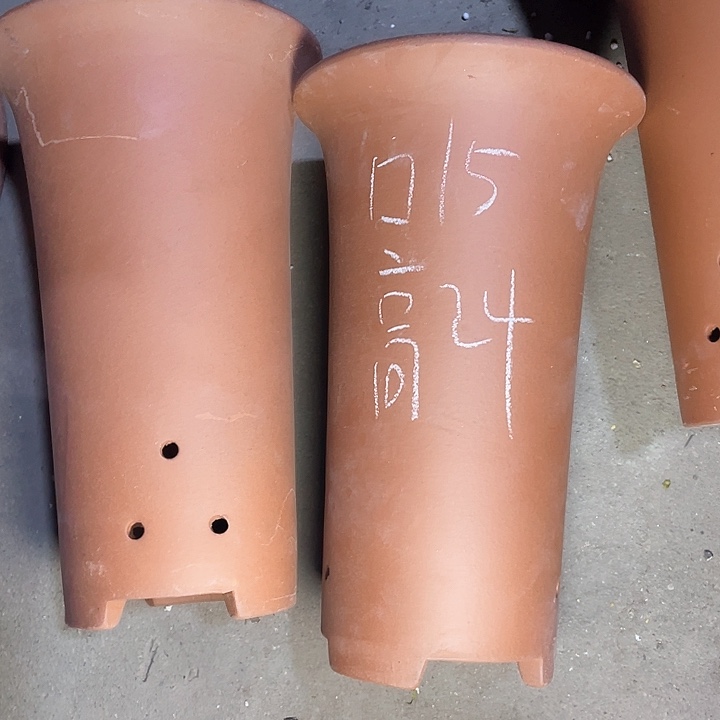 红陶紫砂紫砂紫砂