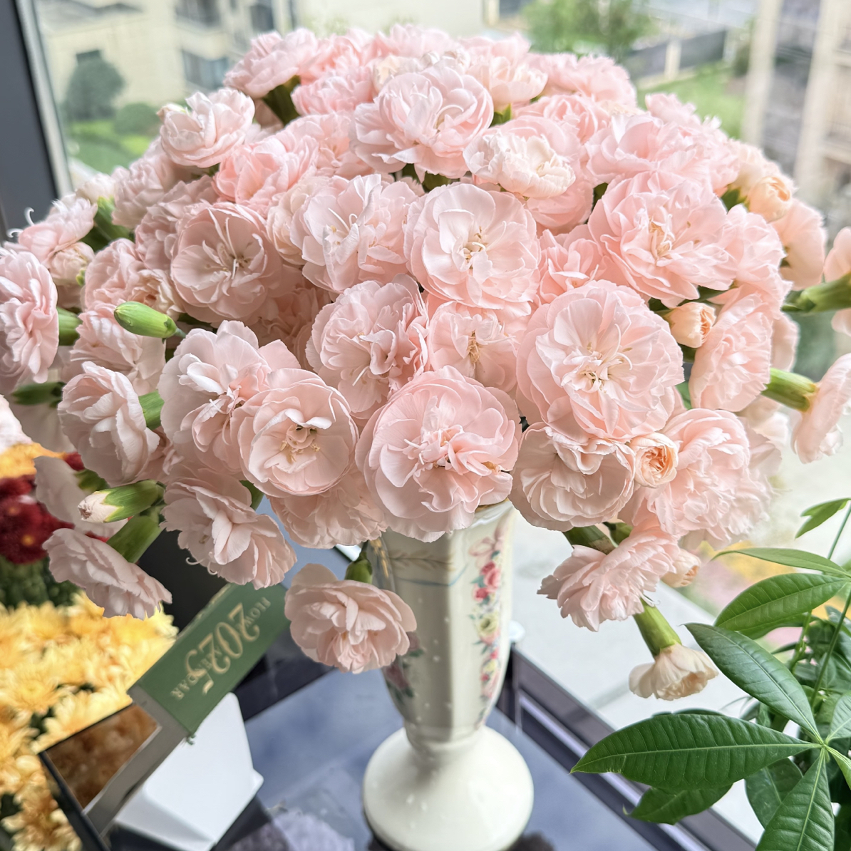 【人鱼公主多头康乃馨】不包邮，一个运费任意拍