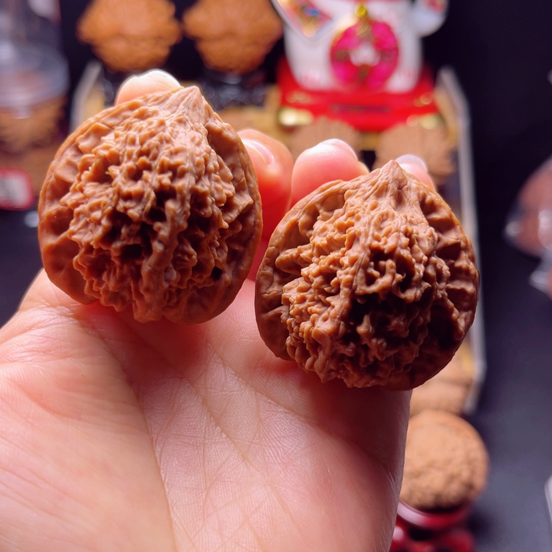 木质类老树红皮满天星