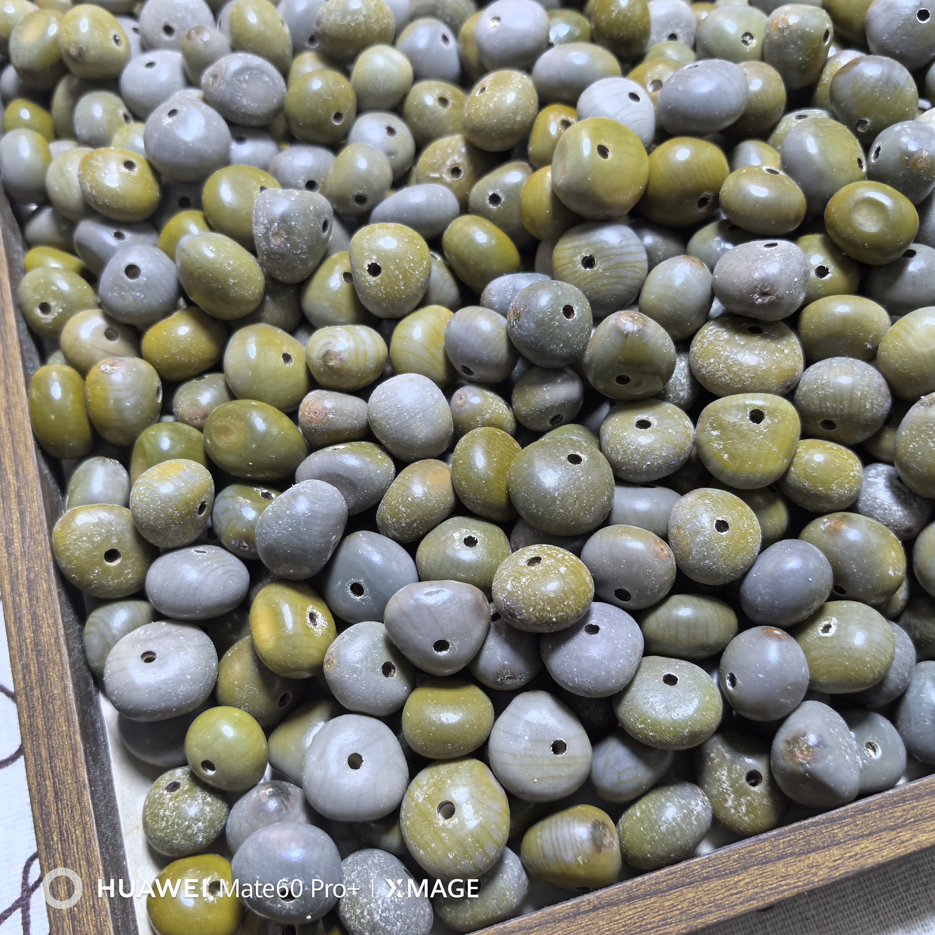 天然菩提子月亮子菩提绿色灰绿色十八籽散珠