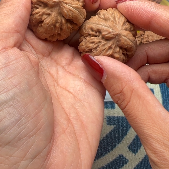 吊坠桃核文玩霸王龙