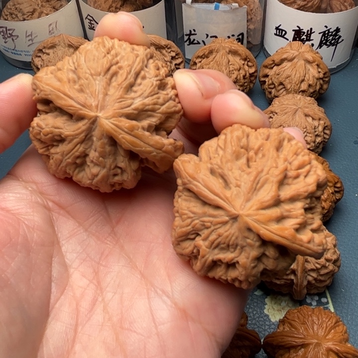 文玩核桃吊坠43大粗筋