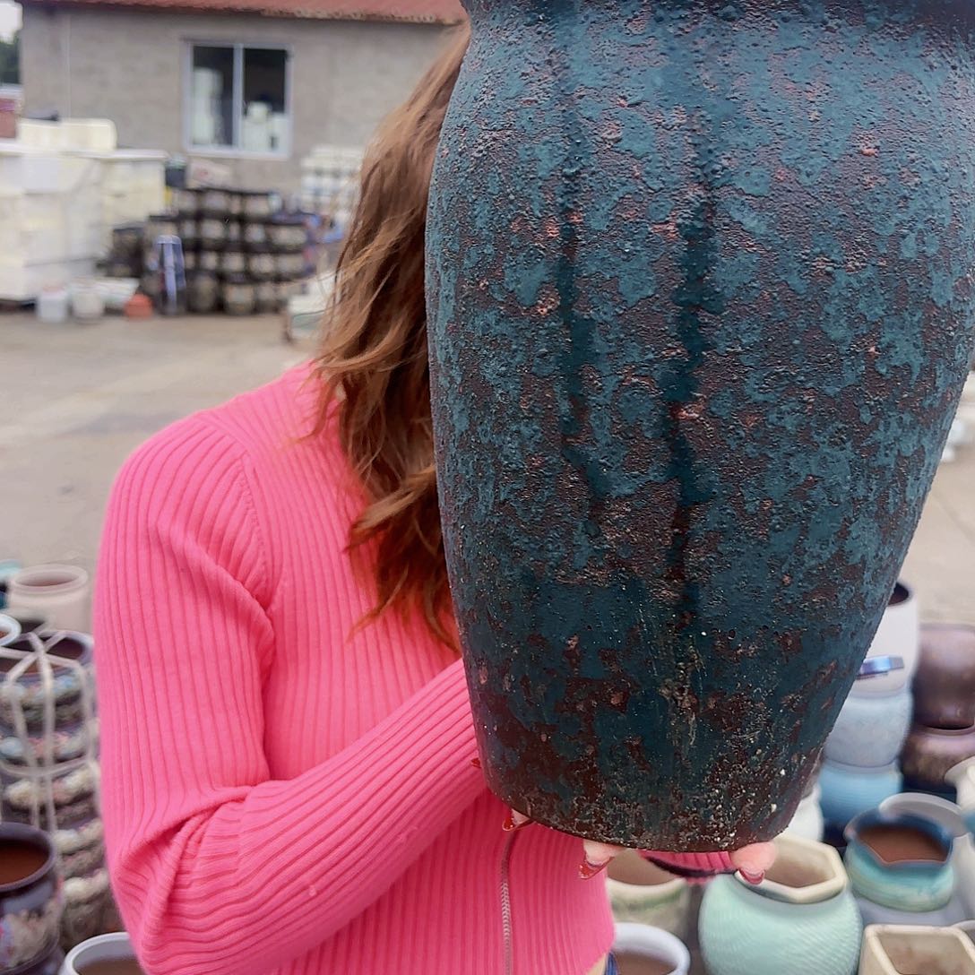 明国绿一个老桩20*30