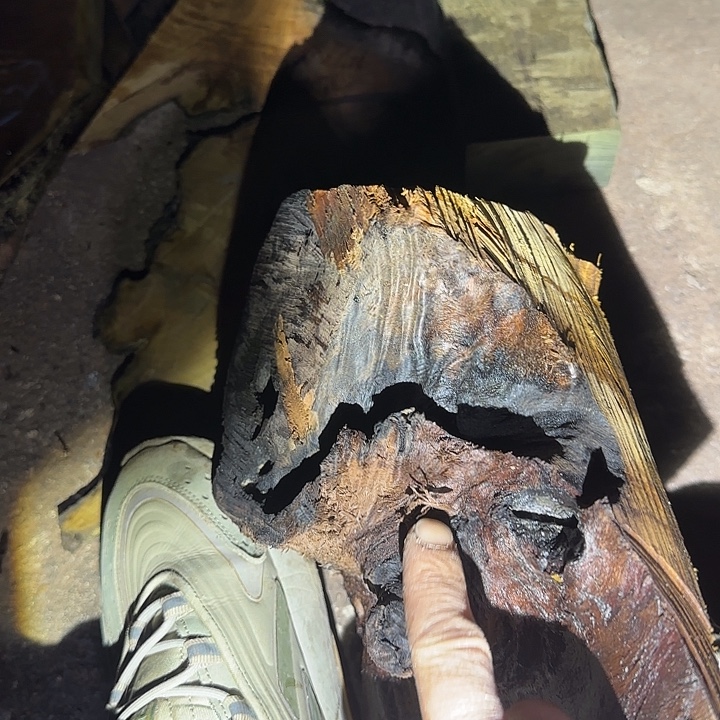 幽***竹香榧木金丝楠木原料摆件